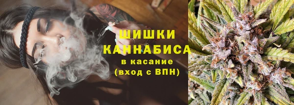 крисы Липки