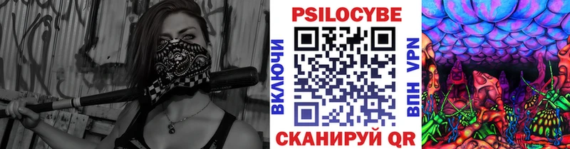 Галлюциногенные грибы Psilocybine cubensis  ссылка на мегу онион  Тамбов 