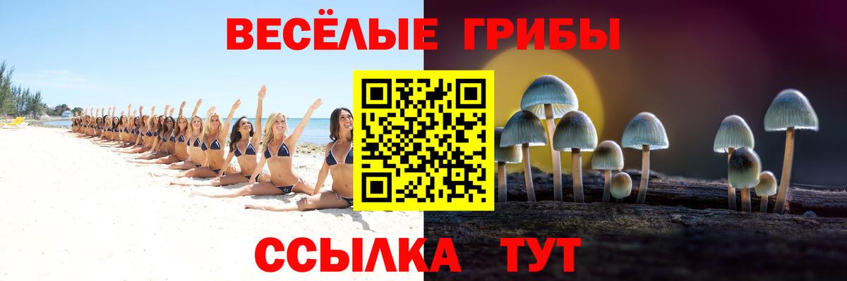 Тамбов  Галлюциногенные грибы мицелий  Вход с VPN 
