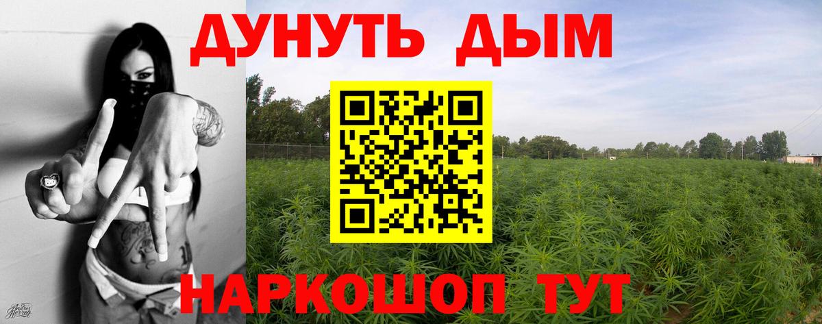 Шишки марихуана Bruce Banner  Вход с VPN  Каннабис Ganja  Конопля Amnesia  Тамбов  МАРИХУАНА семена 